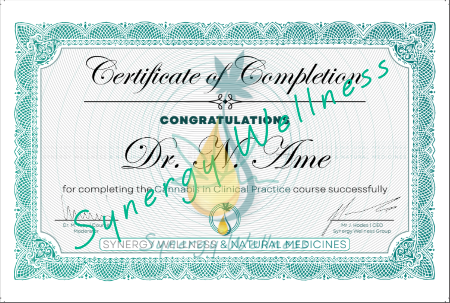 Synergy Wellness Network for Doctors